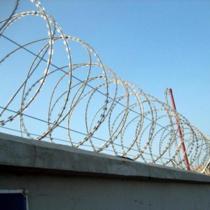 围墙刀片刺网.jpg